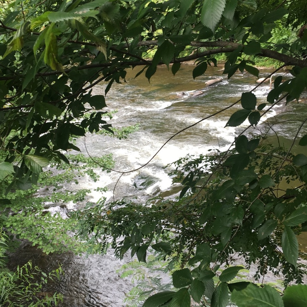 Meet your Posher, Abigail